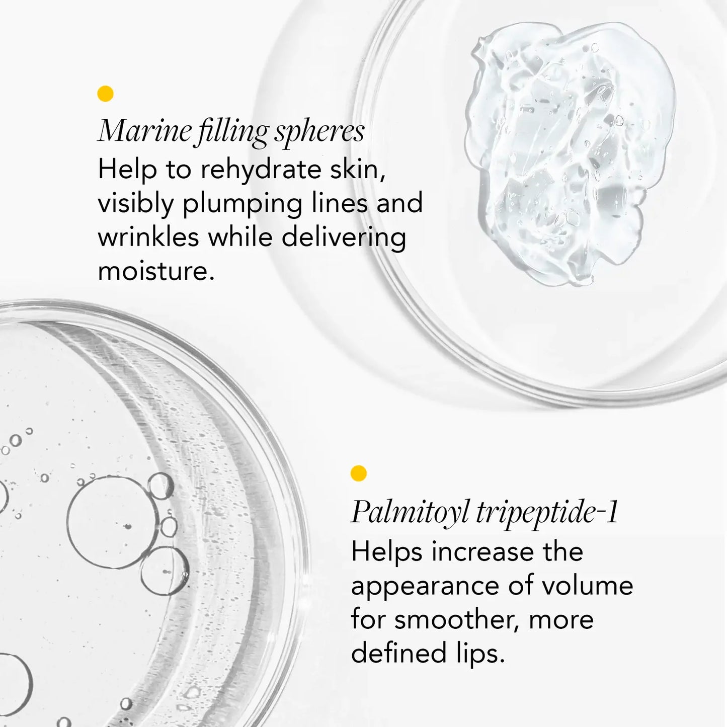 DAILY PREVENTION Lip Enhancer SPF 30